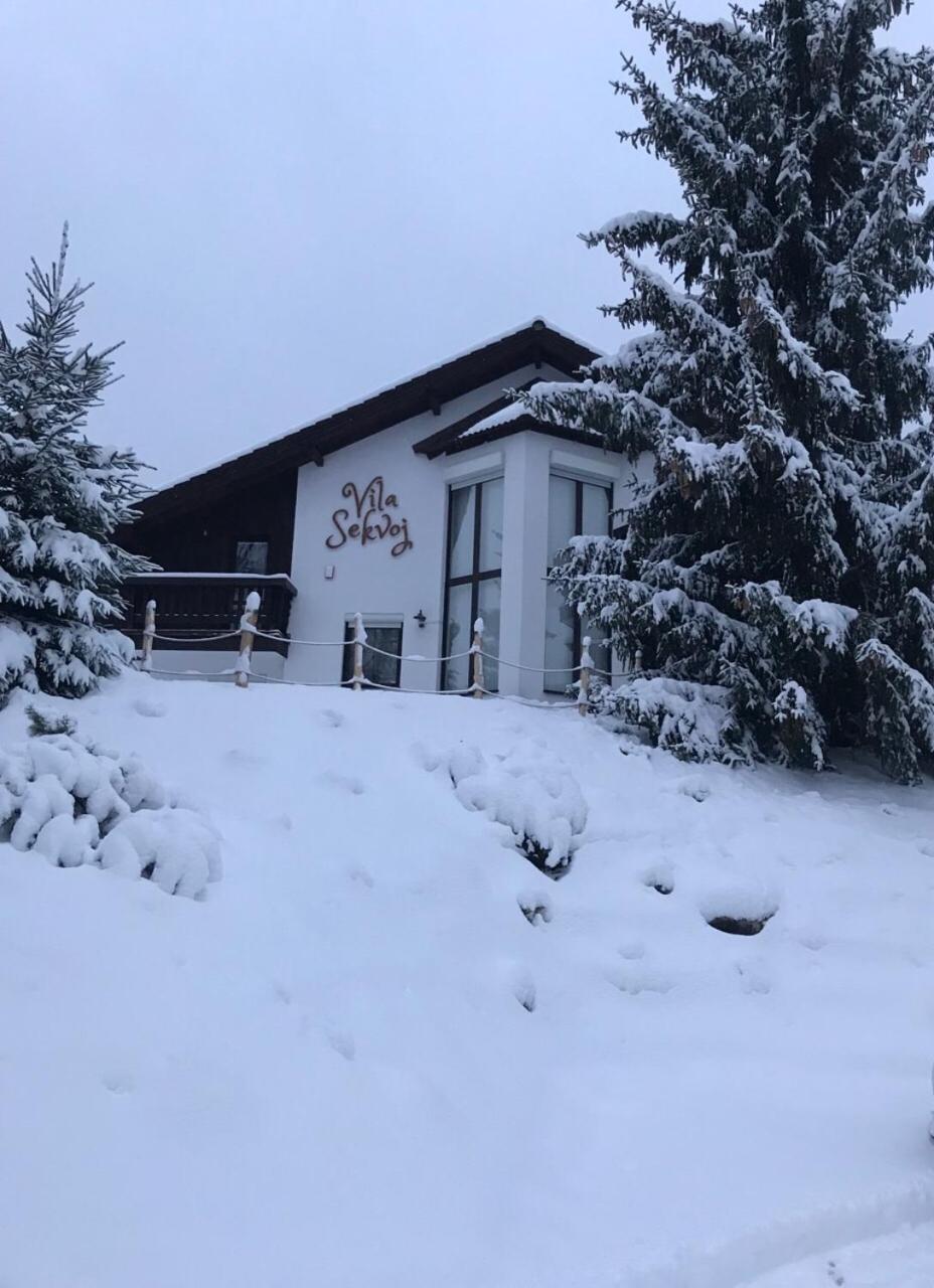 Vila Sekvoj Harrachov Buitenkant foto